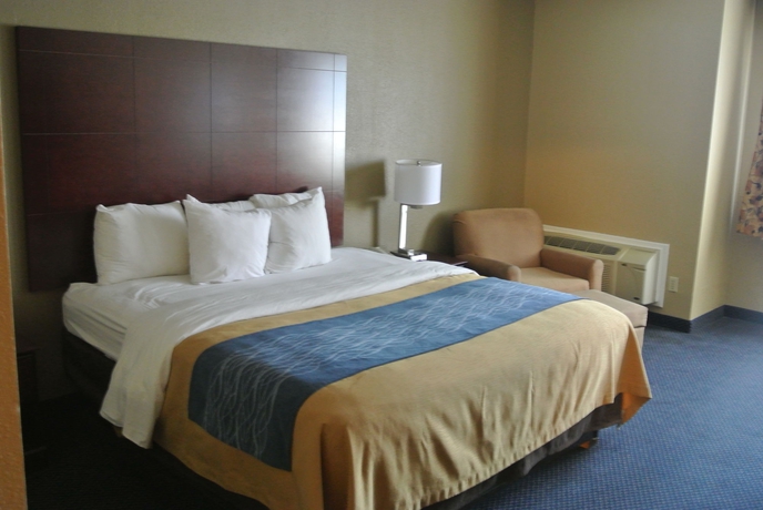 Imagen de la habitación del Hotel Comfort Inn Atlanta Downtown South. Foto 6
