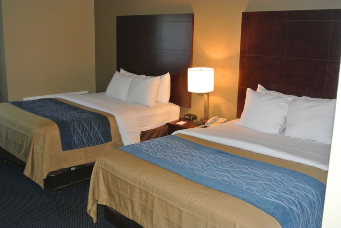 Imagen de la habitación del Hotel Comfort Inn Atlanta Downtown South. Foto 7