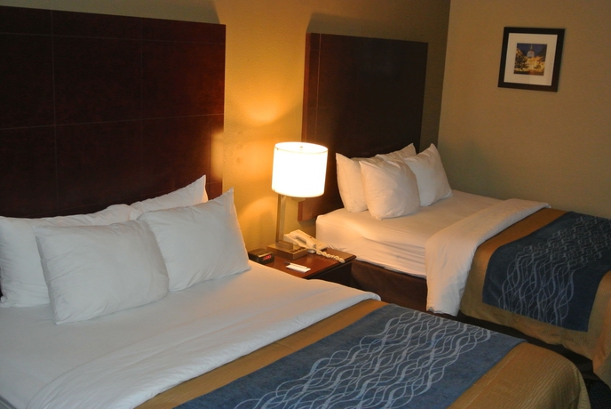 Imagen de la habitación del Hotel Comfort Inn Atlanta Downtown South. Foto 9