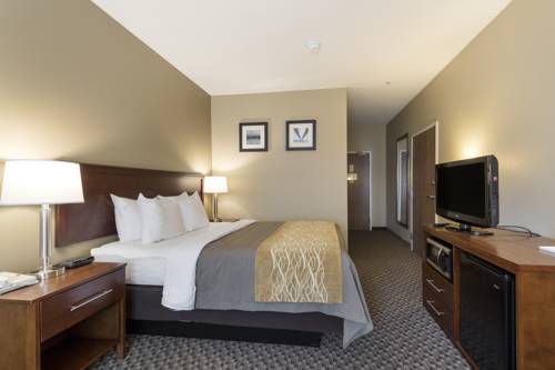 Imagen de la habitación del Hotel Comfort Inn Auburn - Seattle. Foto 5
