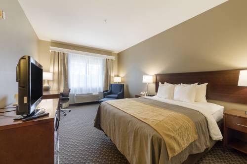 Imagen general del Hotel Comfort Inn Auburn - Seattle. Foto 1