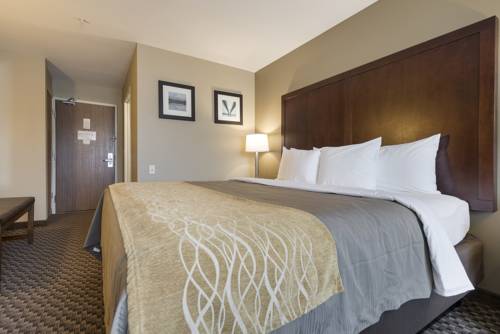 Imagen de la habitación del Hotel Comfort Inn Auburn - Seattle. Foto 11