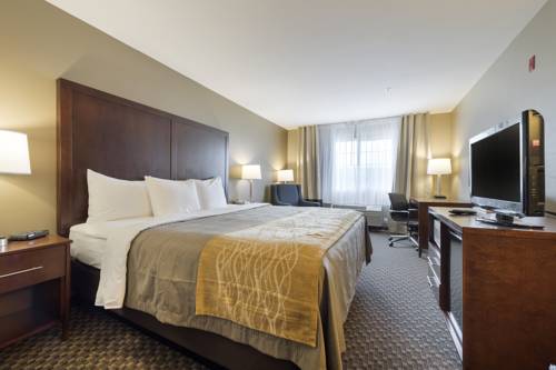 Imagen de la habitación del Hotel Comfort Inn Auburn - Seattle. Foto 13