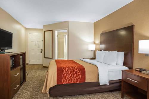 Imagen de la habitación del Hotel Comfort Inn Auburn-worcester. Foto 4