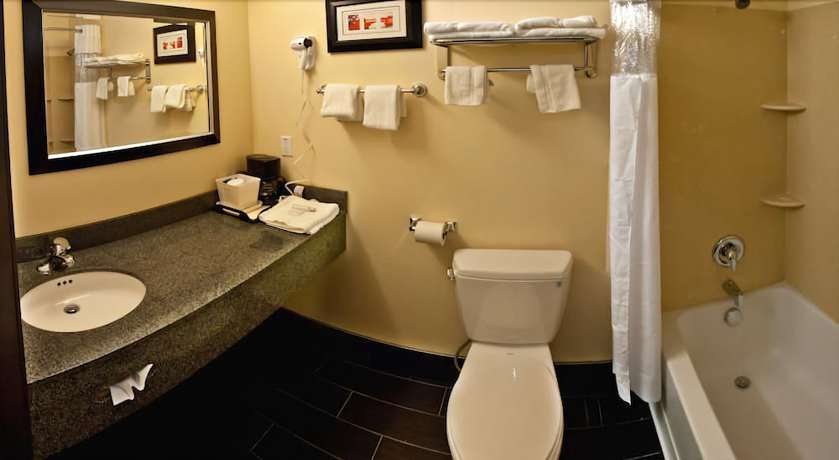 Imagen de la habitación del Hotel Comfort Inn Ballard-roosevelt. Foto 13