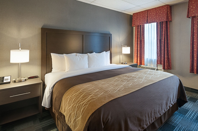 Imagen de la habitación del Hotel Comfort Inn Ballston. Foto 8