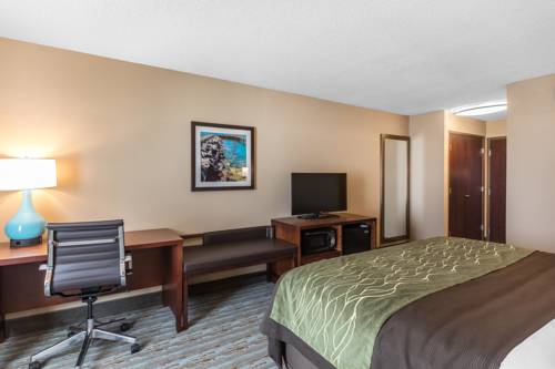 Imagen de la habitación del Hotel Comfort Inn Bay City - Riverfront. Foto 5