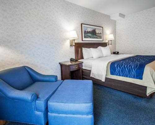 Imagen de la habitación del Hotel Comfort Inn Bellingham. Foto 2