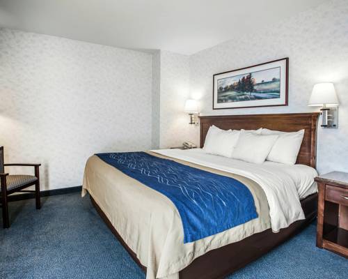 Imagen de la habitación del Hotel Comfort Inn Bellingham. Foto 5