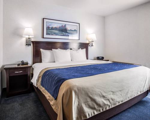 Imagen de la habitación del Hotel Comfort Inn Bellingham. Foto 8