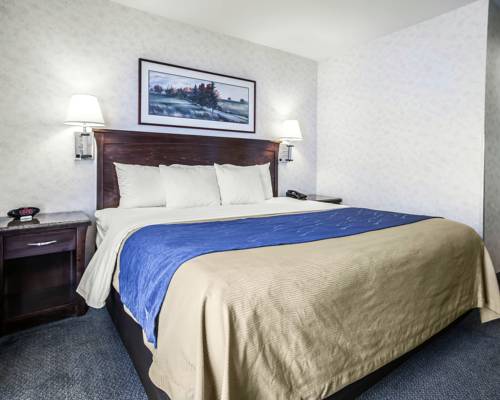 Imagen de la habitación del Hotel Comfort Inn Bellingham. Foto 11