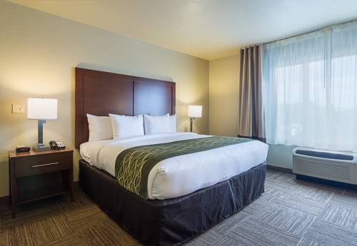 Imagen de la habitación del Hotel Comfort Inn Bentonville - Crystal Bridges. Foto 4