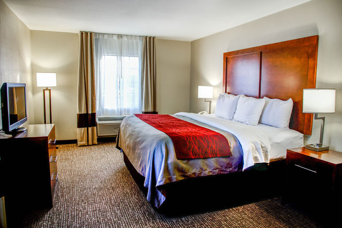 Imagen de la habitación del Hotel Comfort Inn Bessemer Birmingham South. Foto 8