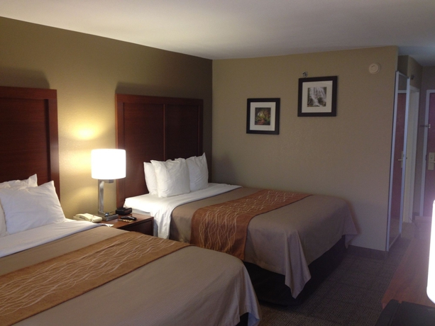 Imagen de la habitación del Hotel Comfort Inn Biltmore West. Foto 7