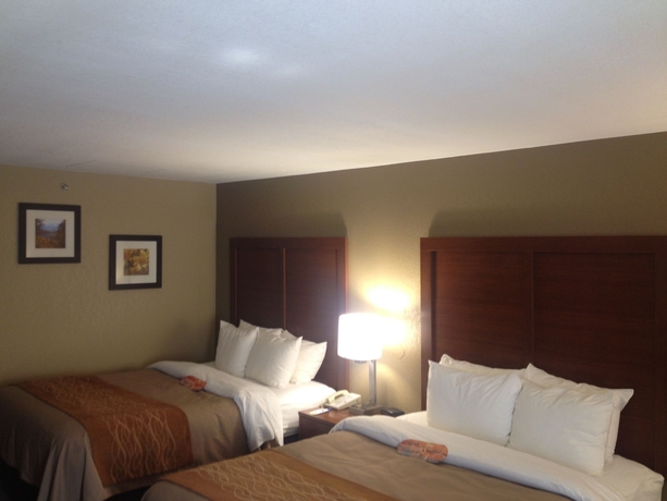 Imagen de la habitación del Hotel Comfort Inn Biltmore West. Foto 11