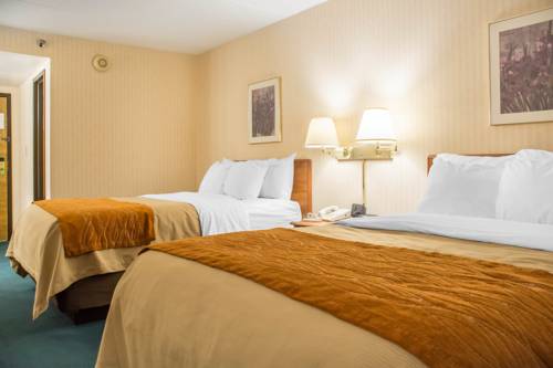 Imagen de la habitación del Hotel Comfort Inn Binghamton. Foto 3