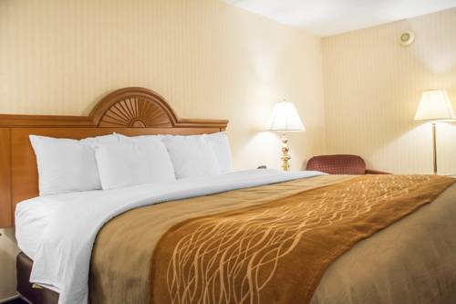 Imagen de la habitación del Hotel Comfort Inn Binghamton. Foto 4