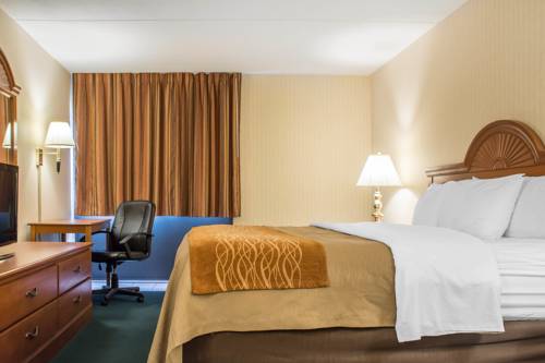 Imagen de la habitación del Hotel Comfort Inn Binghamton. Foto 6