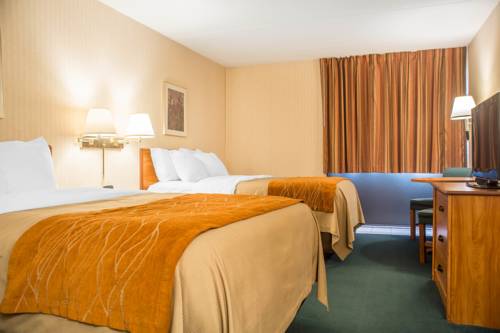 Imagen de la habitación del Hotel Comfort Inn Binghamton. Foto 9