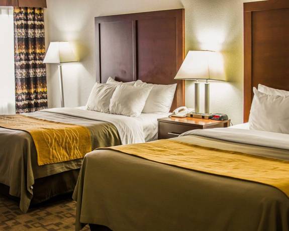 Imagen general del Hotel Comfort Inn Birch Run - Frankenmuth. Foto 1