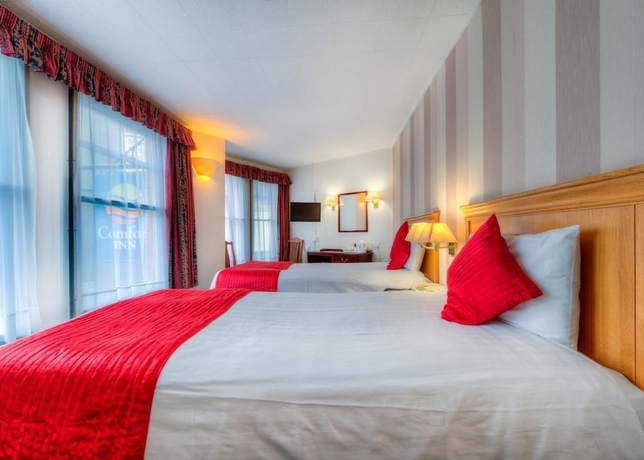 Imagen de la habitación del Hotel Comfort Inn Birmingham. Foto 13