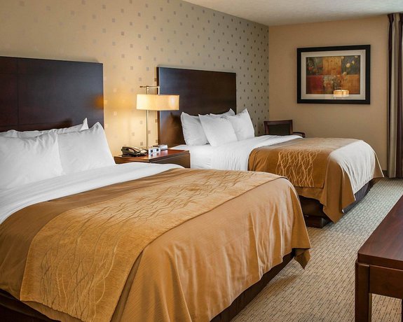 Imagen de la habitación del Hotel Comfort Inn Bloomington near University. Foto 2