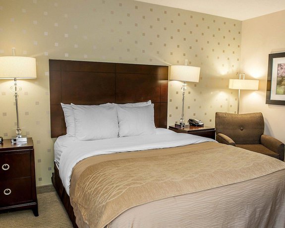 Imagen de la habitación del Hotel Comfort Inn Bloomington near University. Foto 3