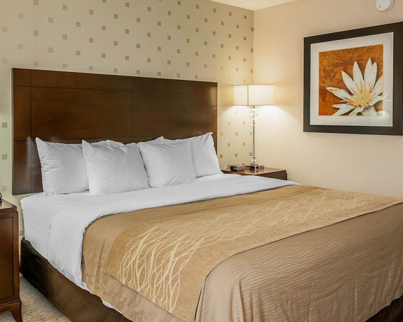 Imagen de la habitación del Hotel Comfort Inn Bloomington near University. Foto 8