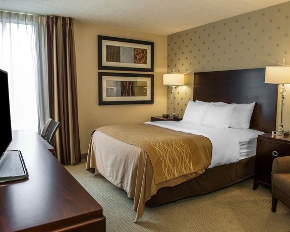 Imagen de la habitación del Hotel Comfort Inn Bloomington near University. Foto 9