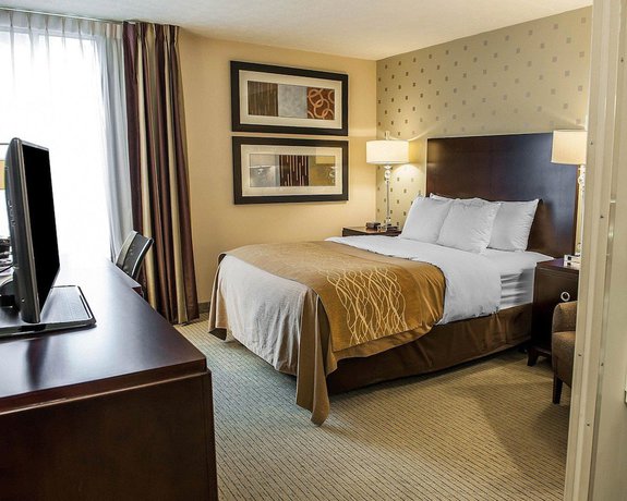 Imagen de la habitación del Hotel Comfort Inn Bloomington near University. Foto 10
