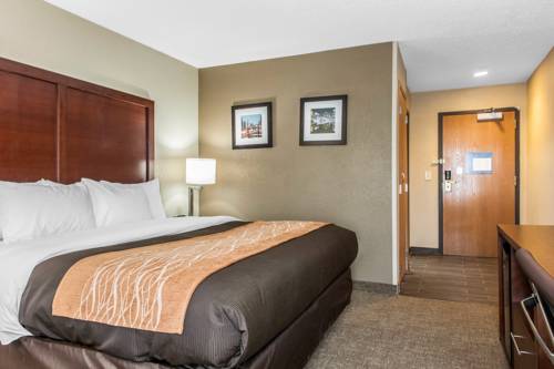 Imagen de la habitación del Hotel Comfort Inn Blue Ash North. Foto 3