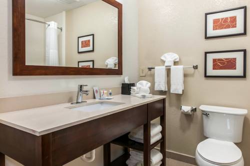 Imagen de la habitación del Hotel Comfort Inn Blue Ash North. Foto 6