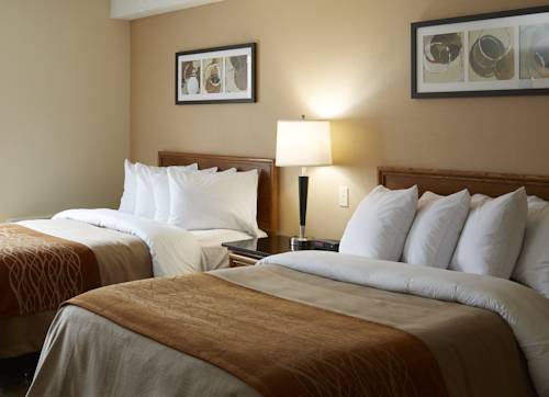 Imagen de la habitación del Hotel Comfort Inn Boucherville. Foto 6