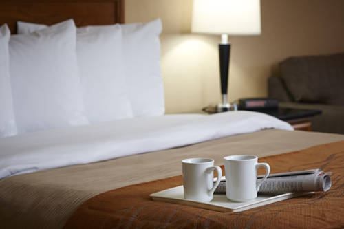 Imagen de la habitación del Hotel Comfort Inn Brandon. Foto 16