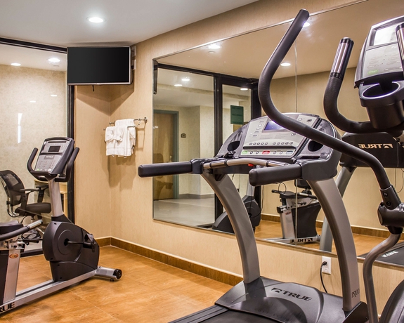 Imagen de los interiores del Hotel Comfort Inn Brooklyn. Foto 11