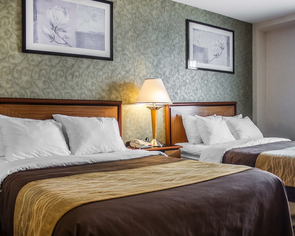 Imagen de la habitación del Hotel Comfort Inn Brooklyn. Foto 6