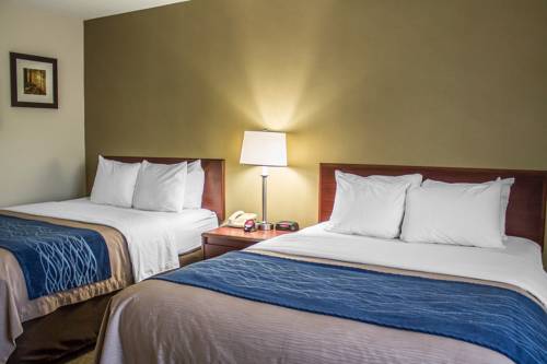 Imagen de la habitación del Hotel Comfort Inn, Cambridge Area. Foto 3