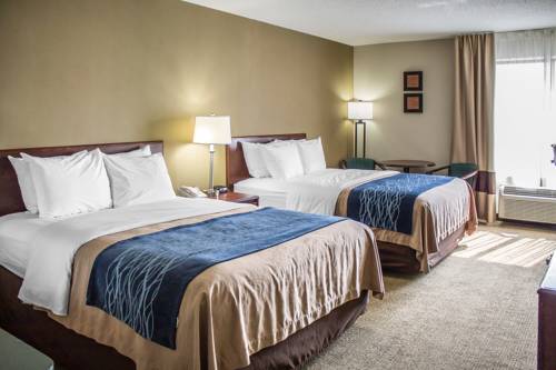 Imagen de la habitación del Hotel Comfort Inn, Cambridge Area. Foto 5