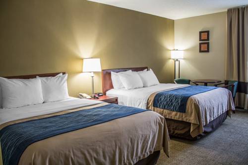 Imagen de la habitación del Hotel Comfort Inn, Cambridge Area. Foto 7