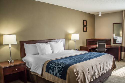 Imagen de la habitación del Hotel Comfort Inn, Cambridge Area. Foto 12