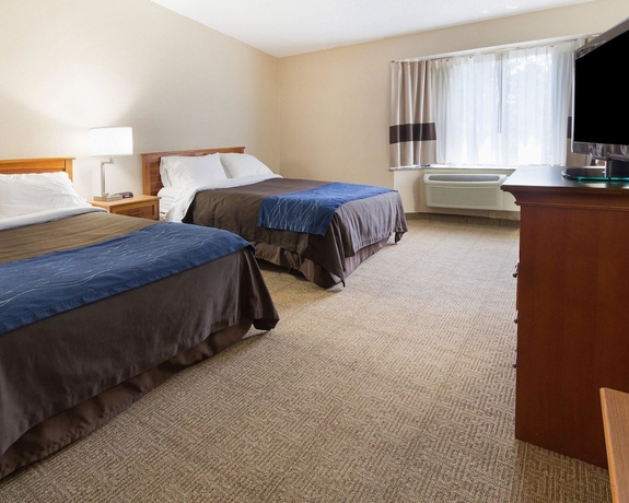Imagen de la habitación del Hotel Comfort Inn Carrier Circle. Foto 2