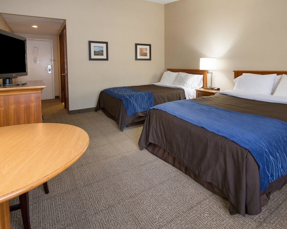 Imagen de la habitación del Hotel Comfort Inn Carrier Circle. Foto 3
