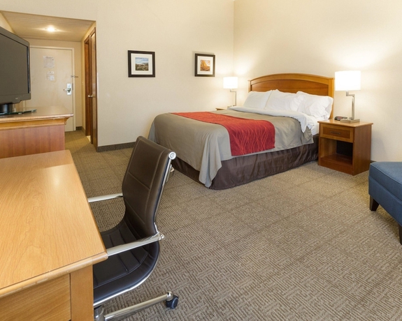 Imagen de la habitación del Hotel Comfort Inn Carrier Circle. Foto 4