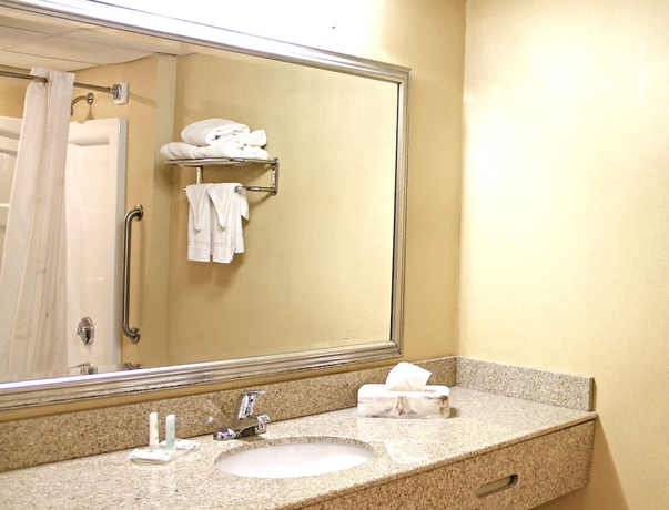 Imagen de la habitación del Hotel Comfort Inn Carrier Circle. Foto 5