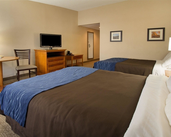 Imagen de la habitación del Hotel Comfort Inn Carrier Circle. Foto 9