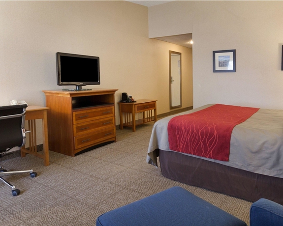 Imagen de la habitación del Hotel Comfort Inn Carrier Circle. Foto 11