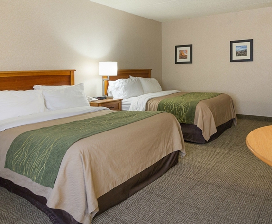 Imagen de la habitación del Hotel Comfort Inn Carrier Circle. Foto 12