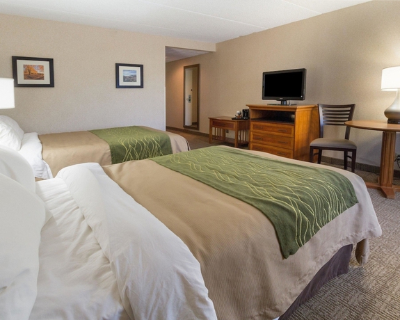 Imagen de la habitación del Hotel Comfort Inn Carrier Circle. Foto 13