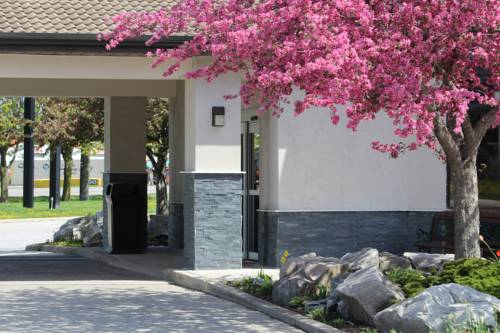 Imagen de la habitación del Hotel Comfort Inn Chatham. Foto 2