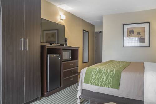 Imagen de la habitación del Hotel Comfort Inn Chatham. Foto 3